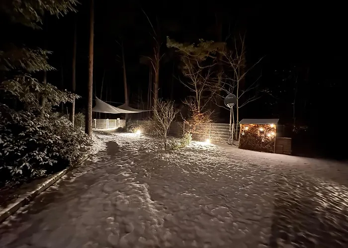 Ferienhaus im Wald