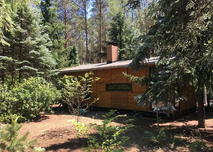 Bungalow im Wald